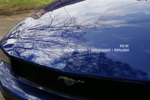 minis saxeobebi da mati gamoyeneba interiersa da eqsteriershi