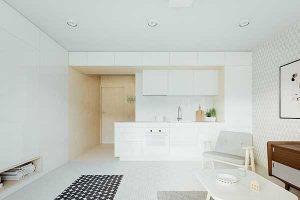 ideebi patara apartamentis mosawyobat