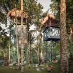 Lift Treetop Boutique Hotel